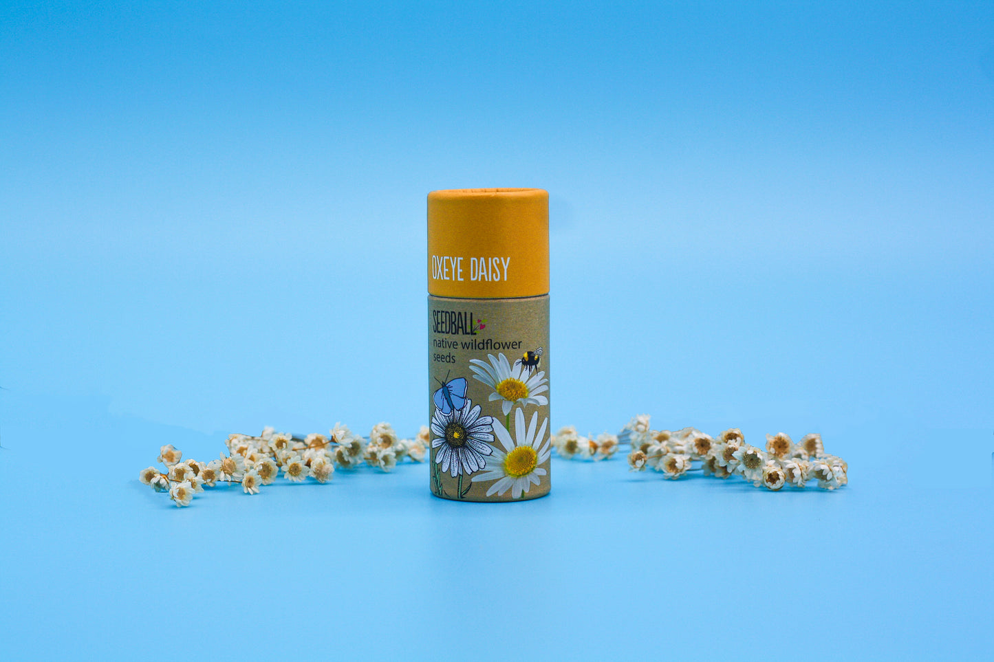 SEEDBALL WILDFLOWER TUBES ππ