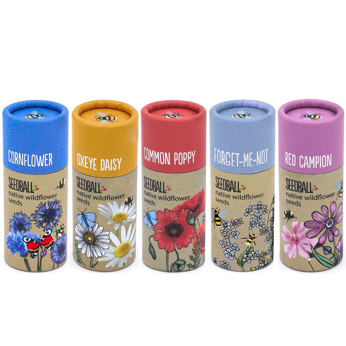SEEDBALL WILDFLOWER TUBES ππ