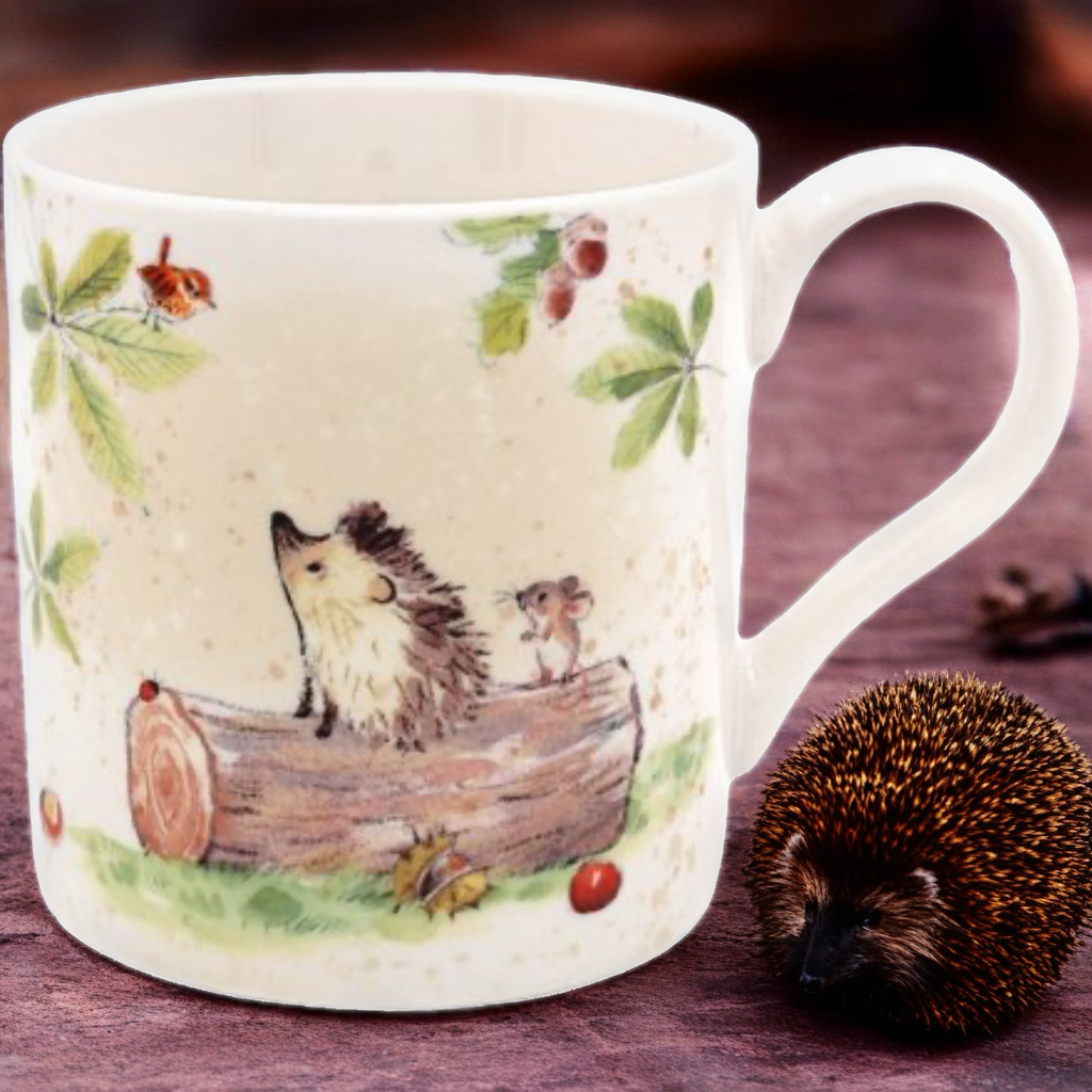 HEDGEHOG π¦ MUG