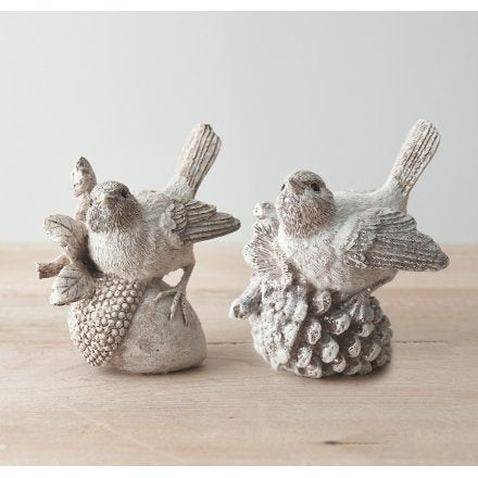 BEAUTIFUL BIRDS ON A PINECONE OR ACORN π¦ββ¬