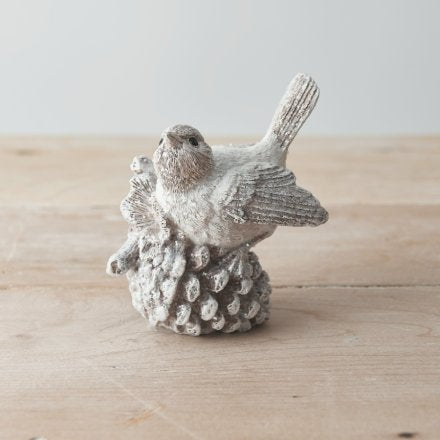 BEAUTIFUL BIRDS ON A PINECONE OR ACORN π¦ββ¬