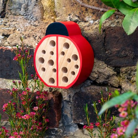 LADYBUG π HOTEL