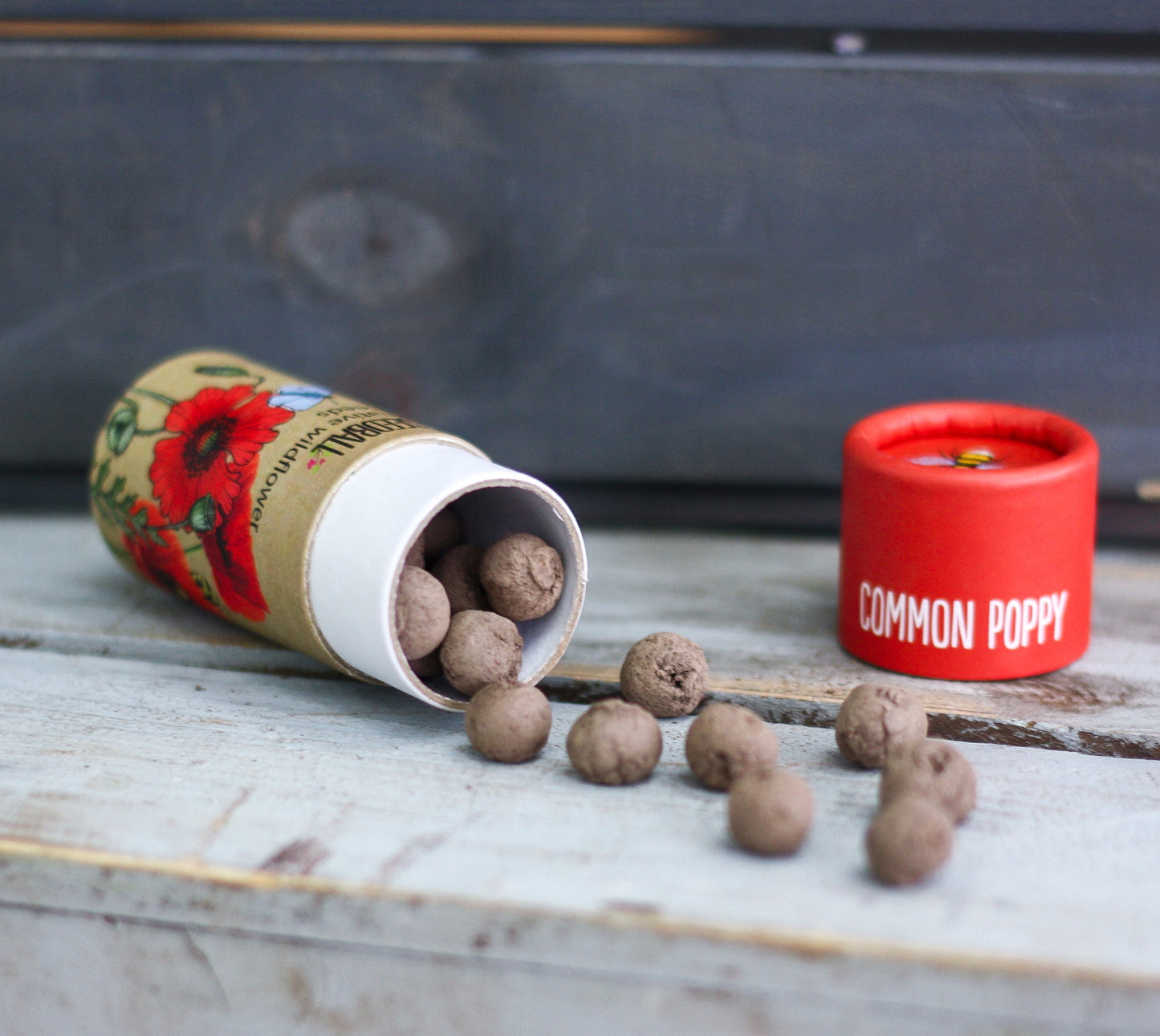 SEEDBALL WILDFLOWER TUBES ππ