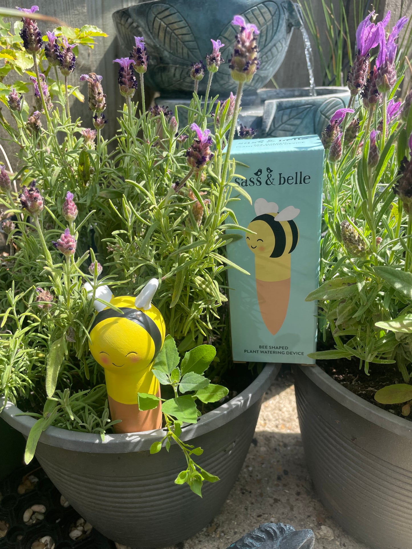 SASS & BELLE BEE WATER SPIKE 🐝🐝