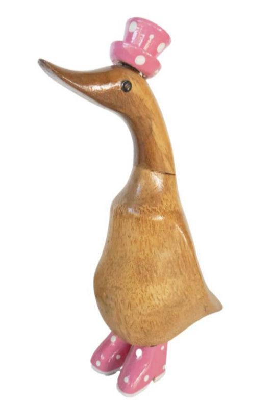 DUCK WITH PINK HAT