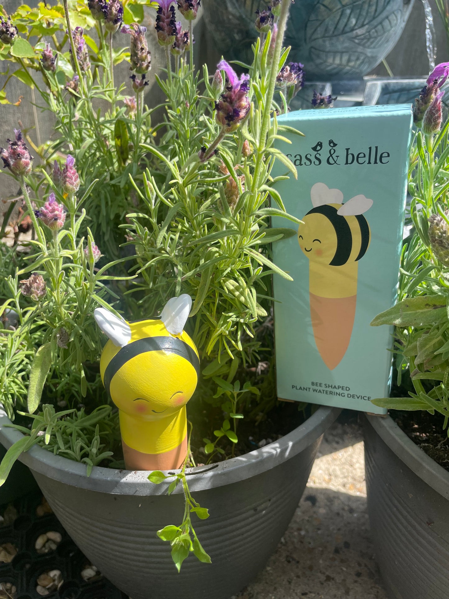 SASS & BELLE BEE WATER SPIKE 🐝🐝