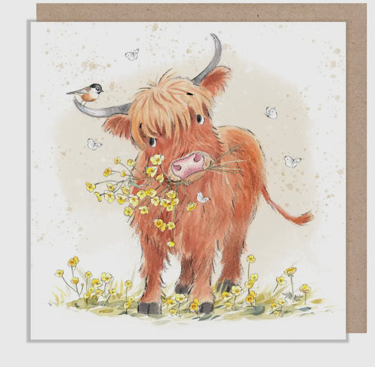 HIGHLAND COW -Blank card