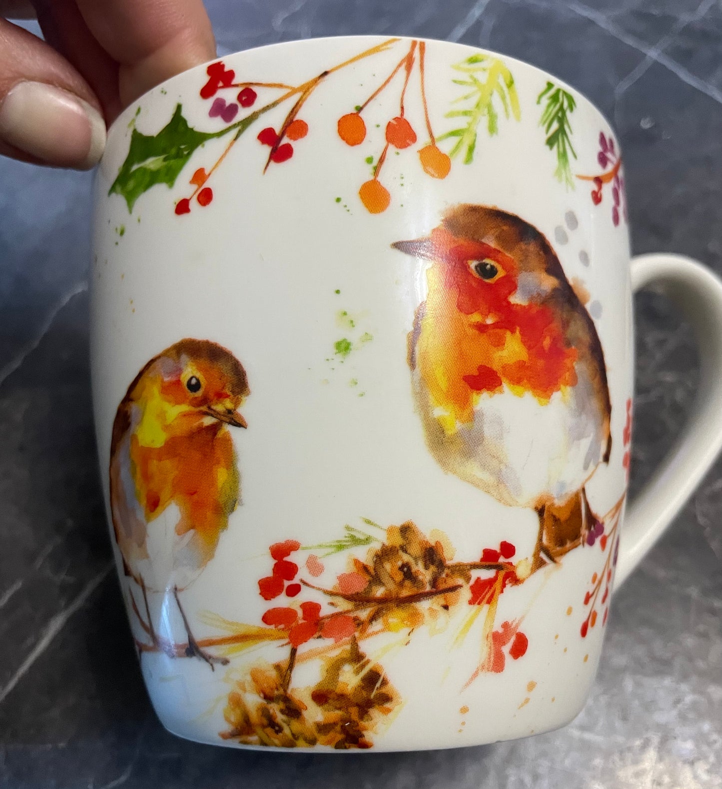 WINTER ROBIN MUG