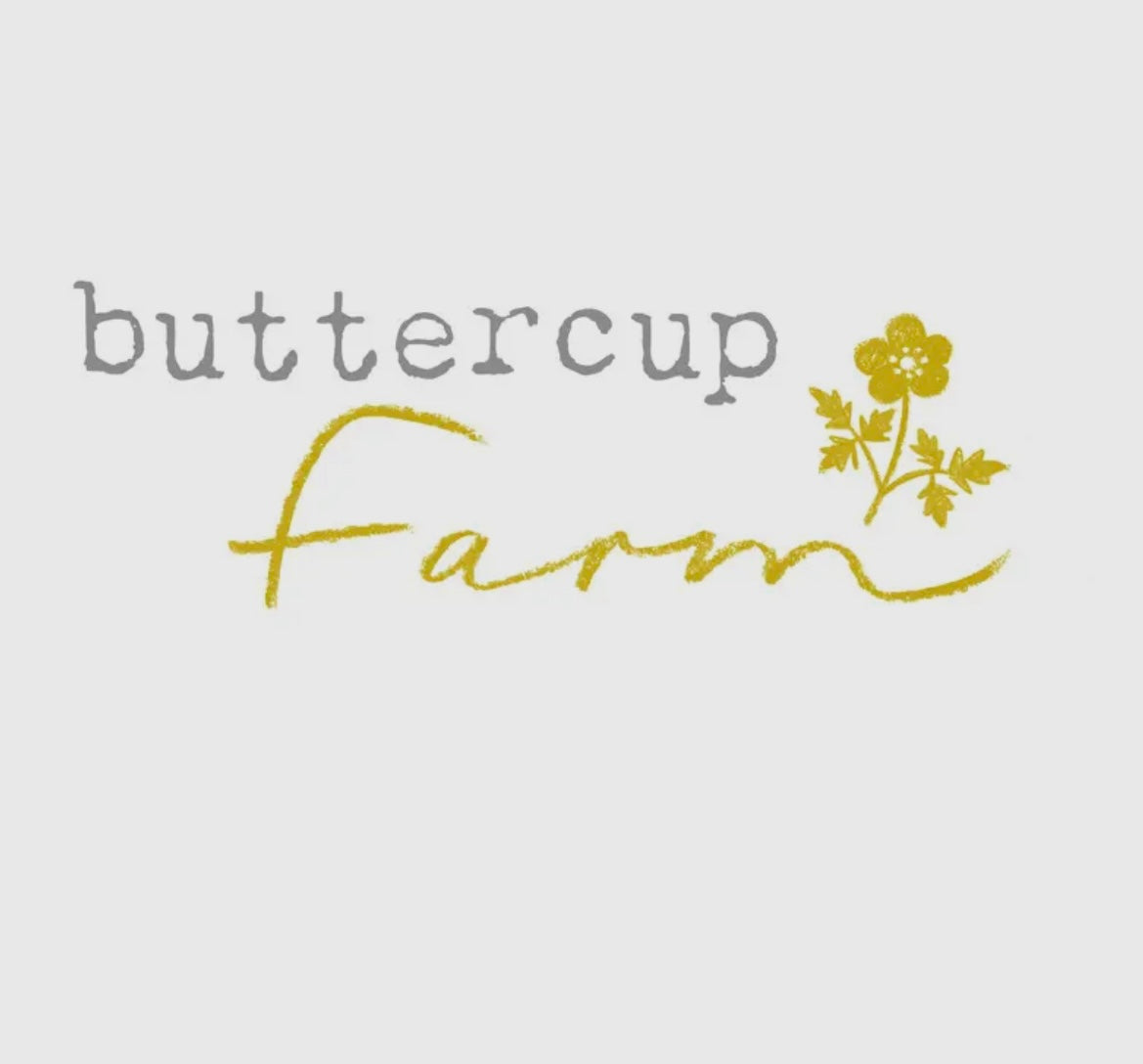 HIGHLAND COW -Blank card