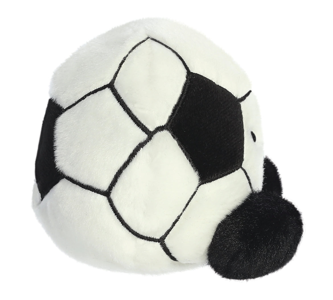 STRIKER THE FOOTBALL ⚽️ PALM PAL