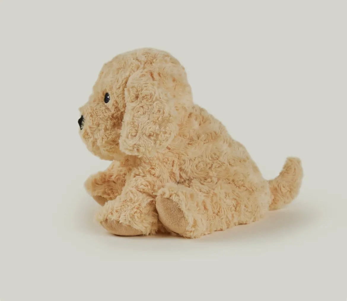WARMIES COCKAPOO SOFT TOY
