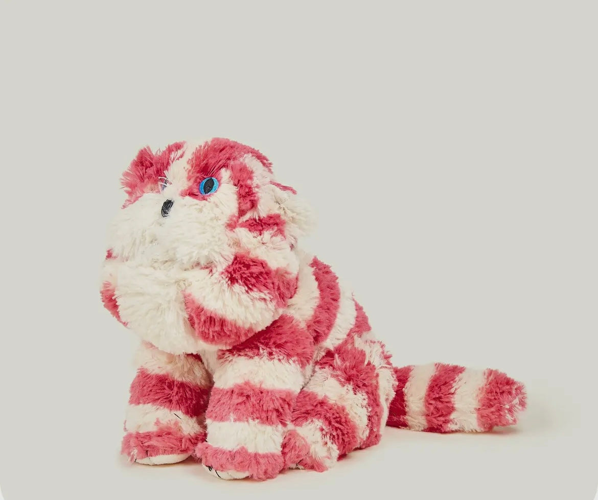 WARMIES BAGPUSS SOFT TOY
