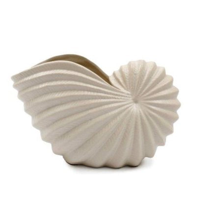 CONCH SHELL VASE - 21cm