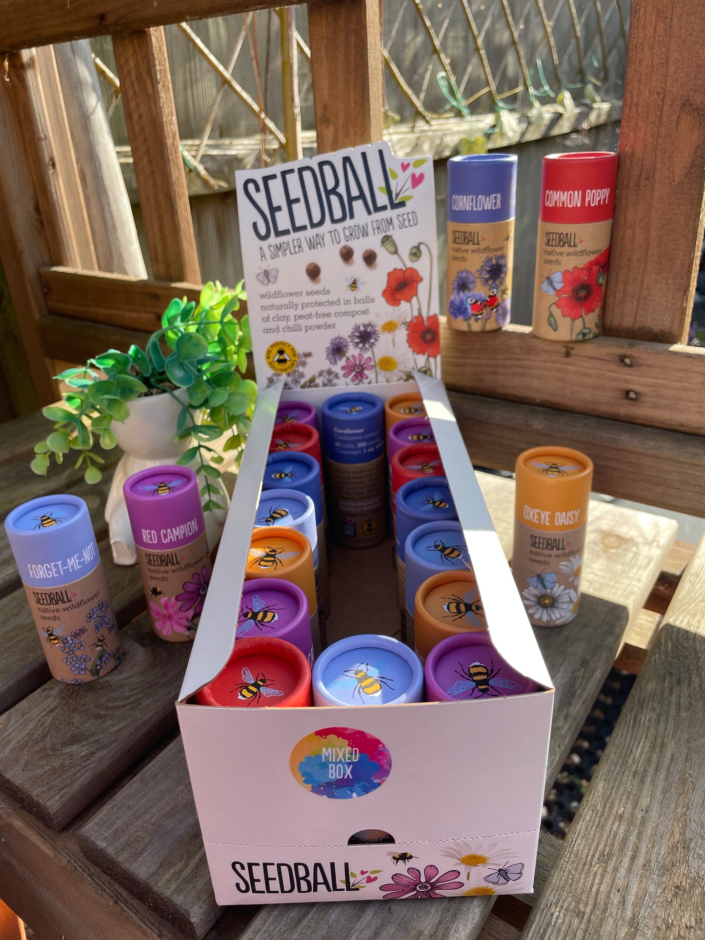 SEEDBALL WILDFLOWER TUBES 🐝🐞