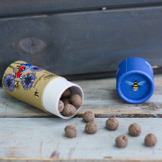 SEEDBALL WILDFLOWER TUBES 🐝🐞