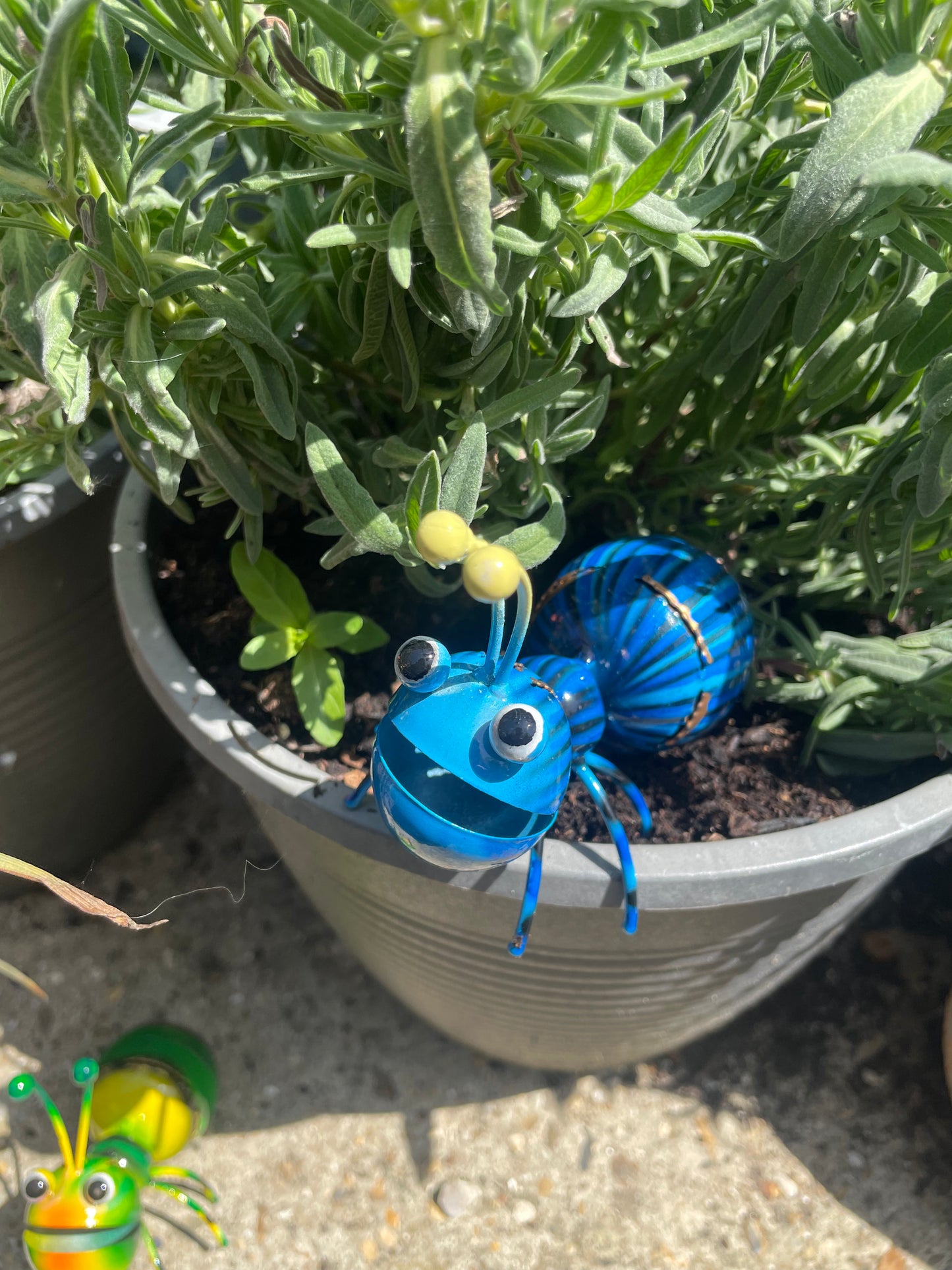 HAPPY METAL GARDEN ANT 🐜
