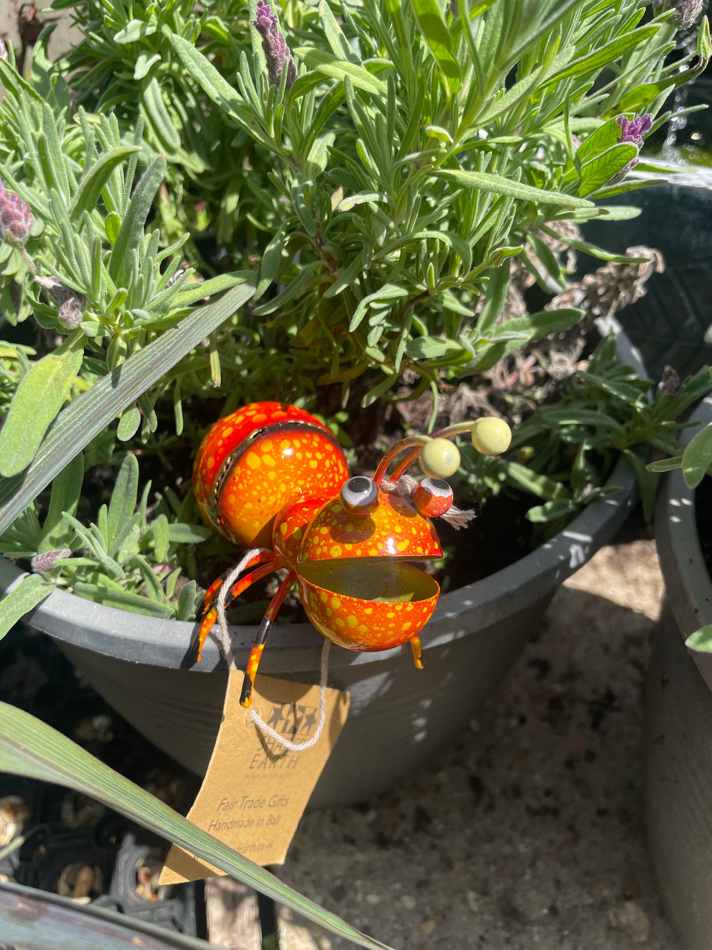 HAPPY METAL GARDEN ANT 🐜