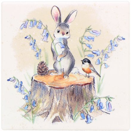 HARE & BIRD COASTER