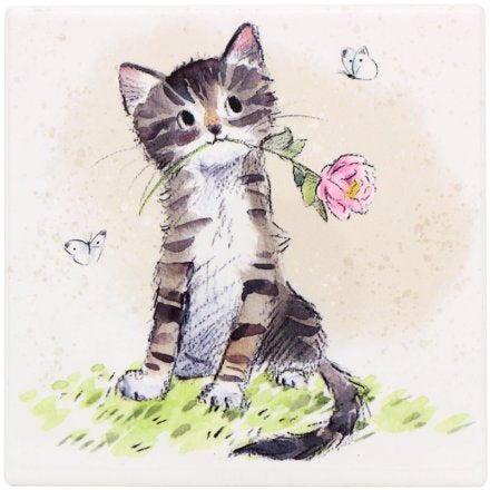 CAT WITH ROSE COASTER