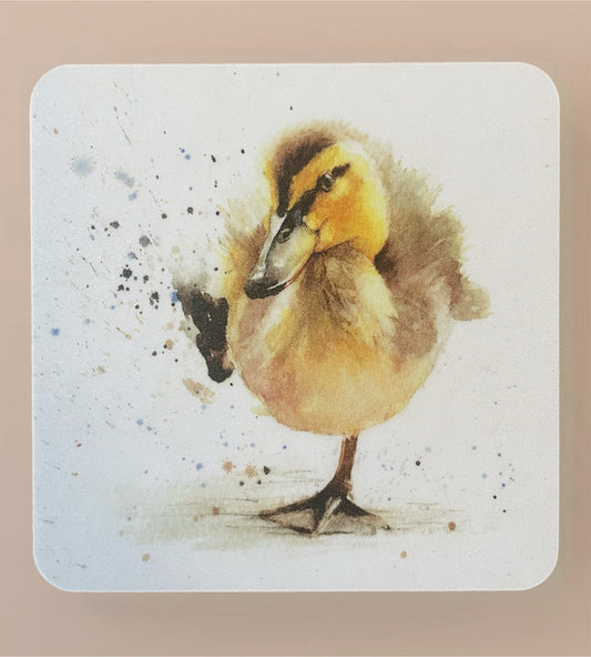 WRAPTIOUS COASTER - DUCKLING 🐥