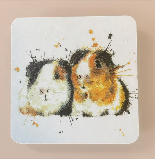 WRAPTIOUS COASTER - GUINEA PIGS
